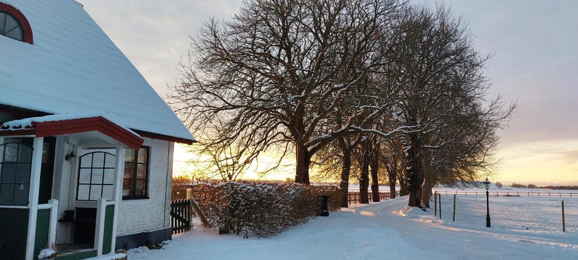 Lantligt Och Lugnt Boende Naera Natur Och Stad Svedala Bagian luar foto