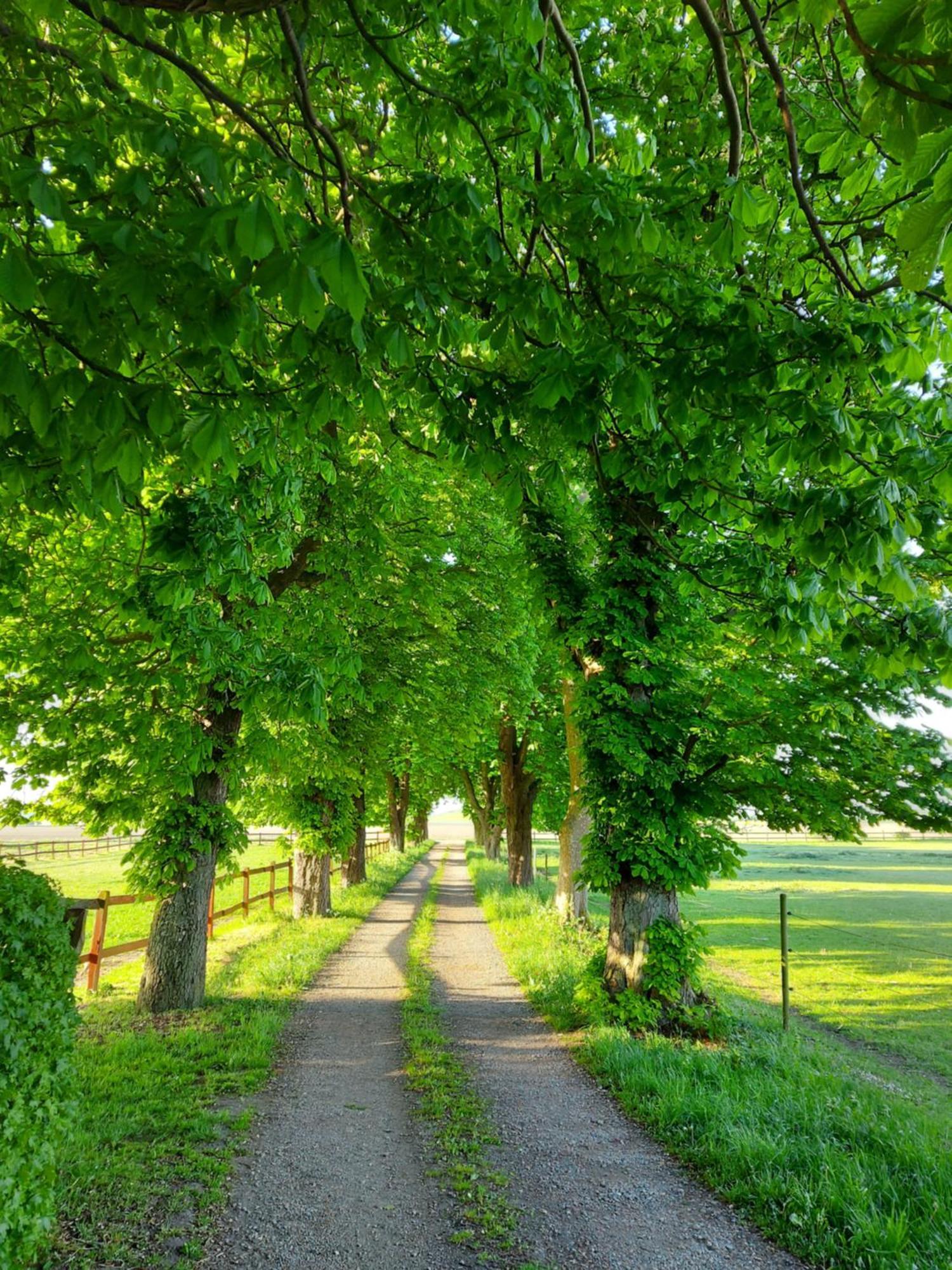 Lantligt Och Lugnt Boende Naera Natur Och Stad Svedala Bagian luar foto