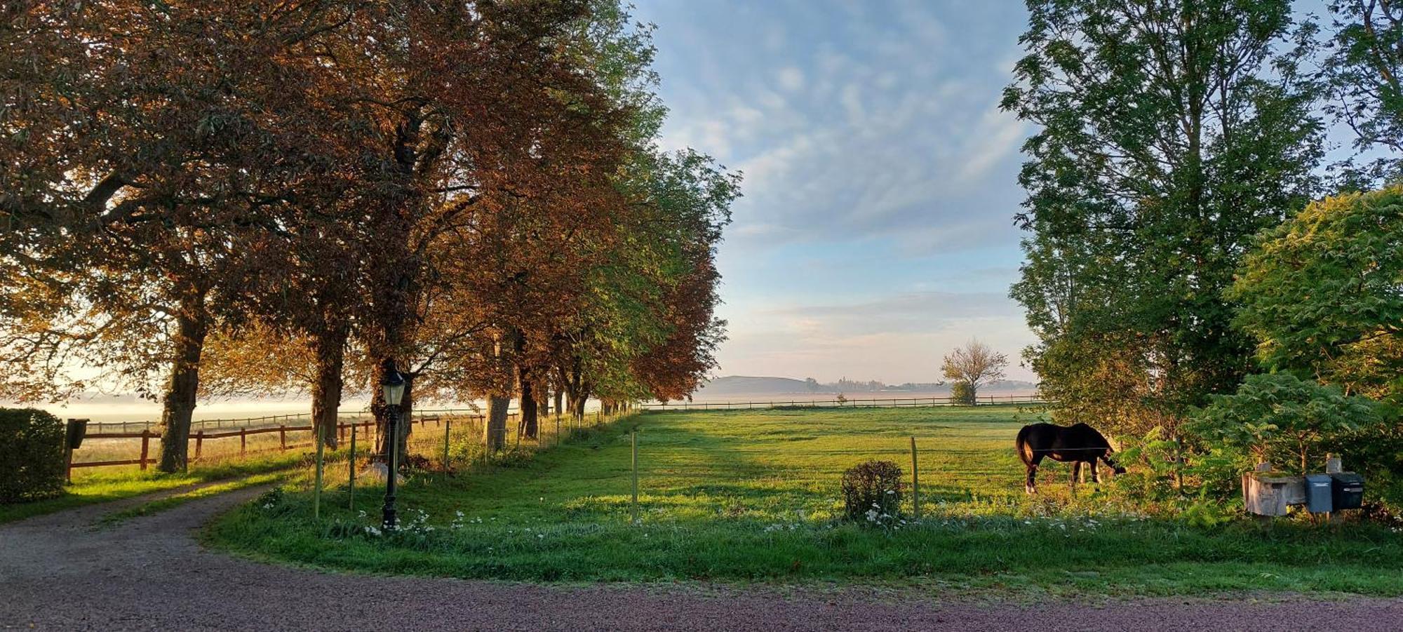 Lantligt Och Lugnt Boende Naera Natur Och Stad Svedala Bagian luar foto