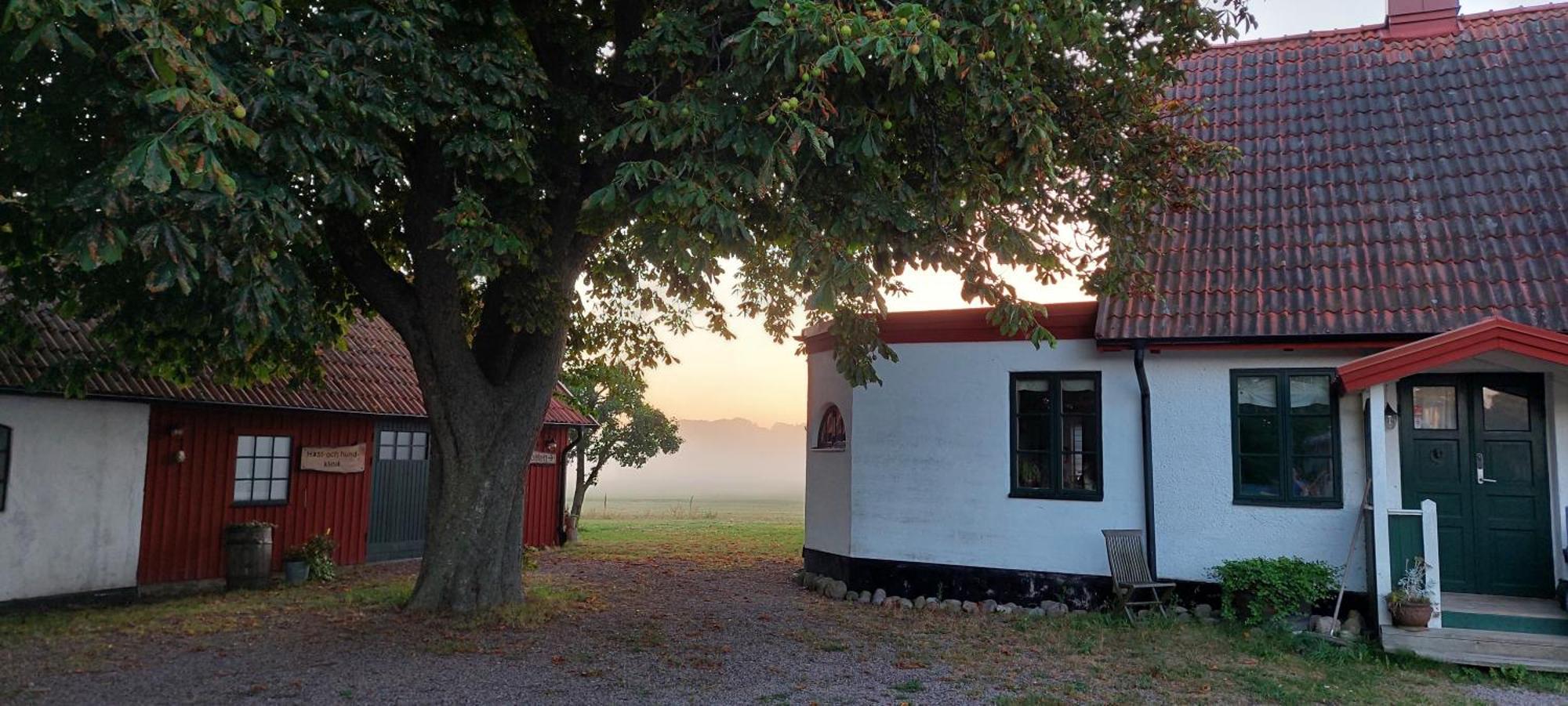 Lantligt Och Lugnt Boende Naera Natur Och Stad Svedala Bagian luar foto