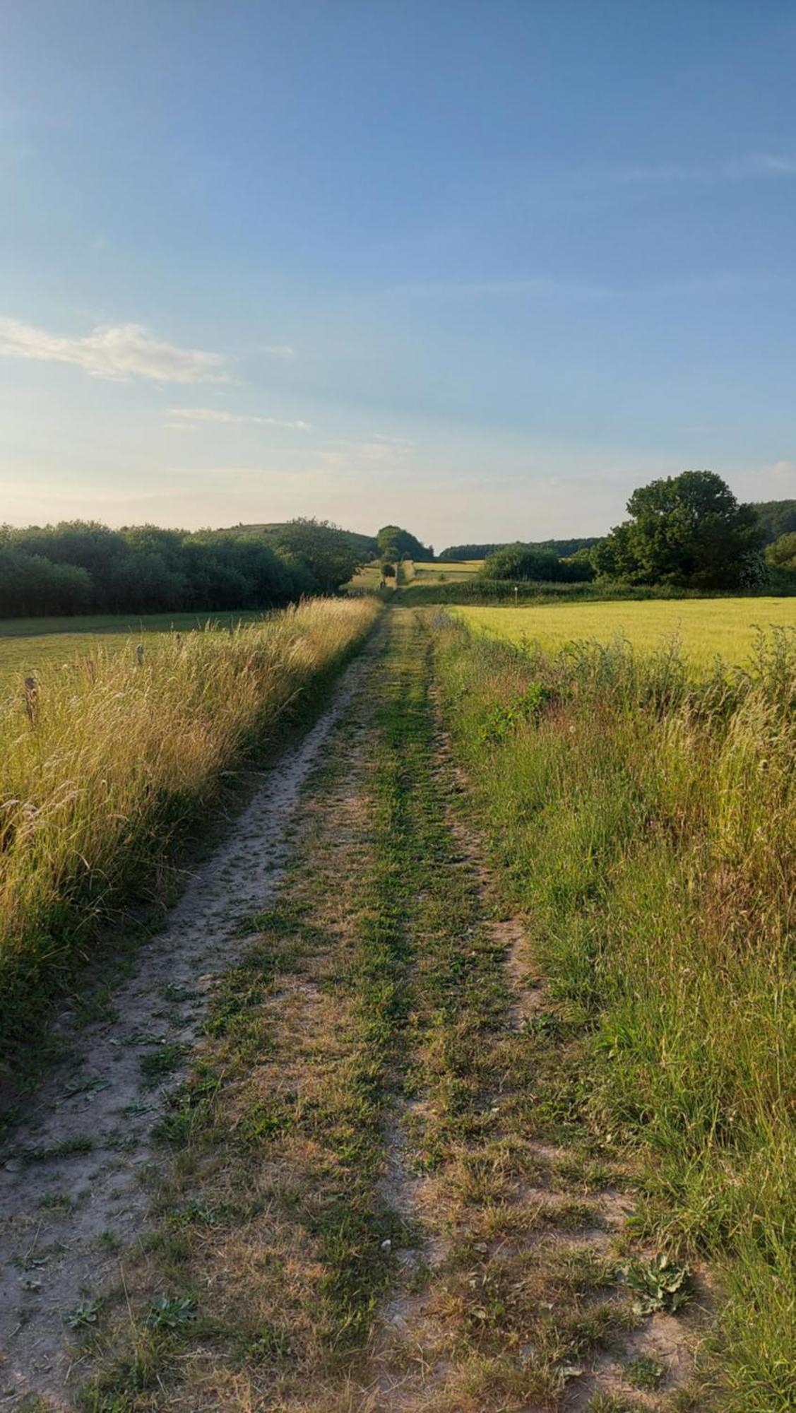 Lantligt Och Lugnt Boende Naera Natur Och Stad Svedala Bagian luar foto
