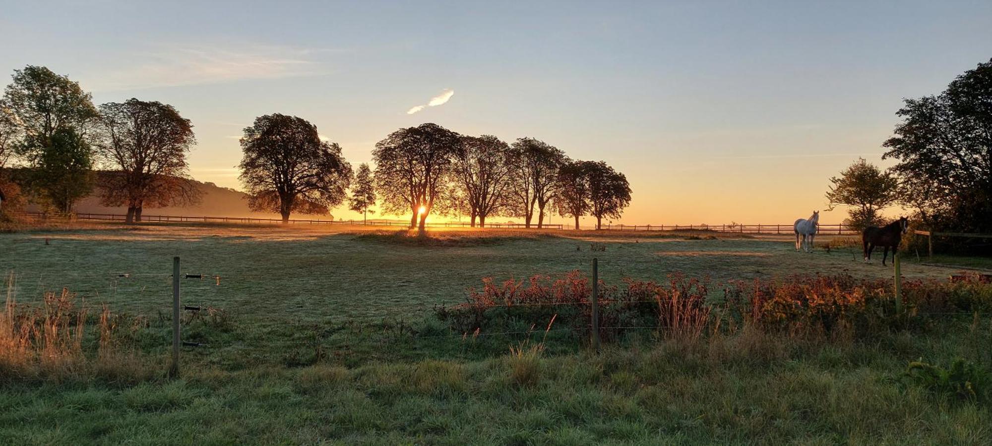 Lantligt Och Lugnt Boende Naera Natur Och Stad Svedala Bagian luar foto