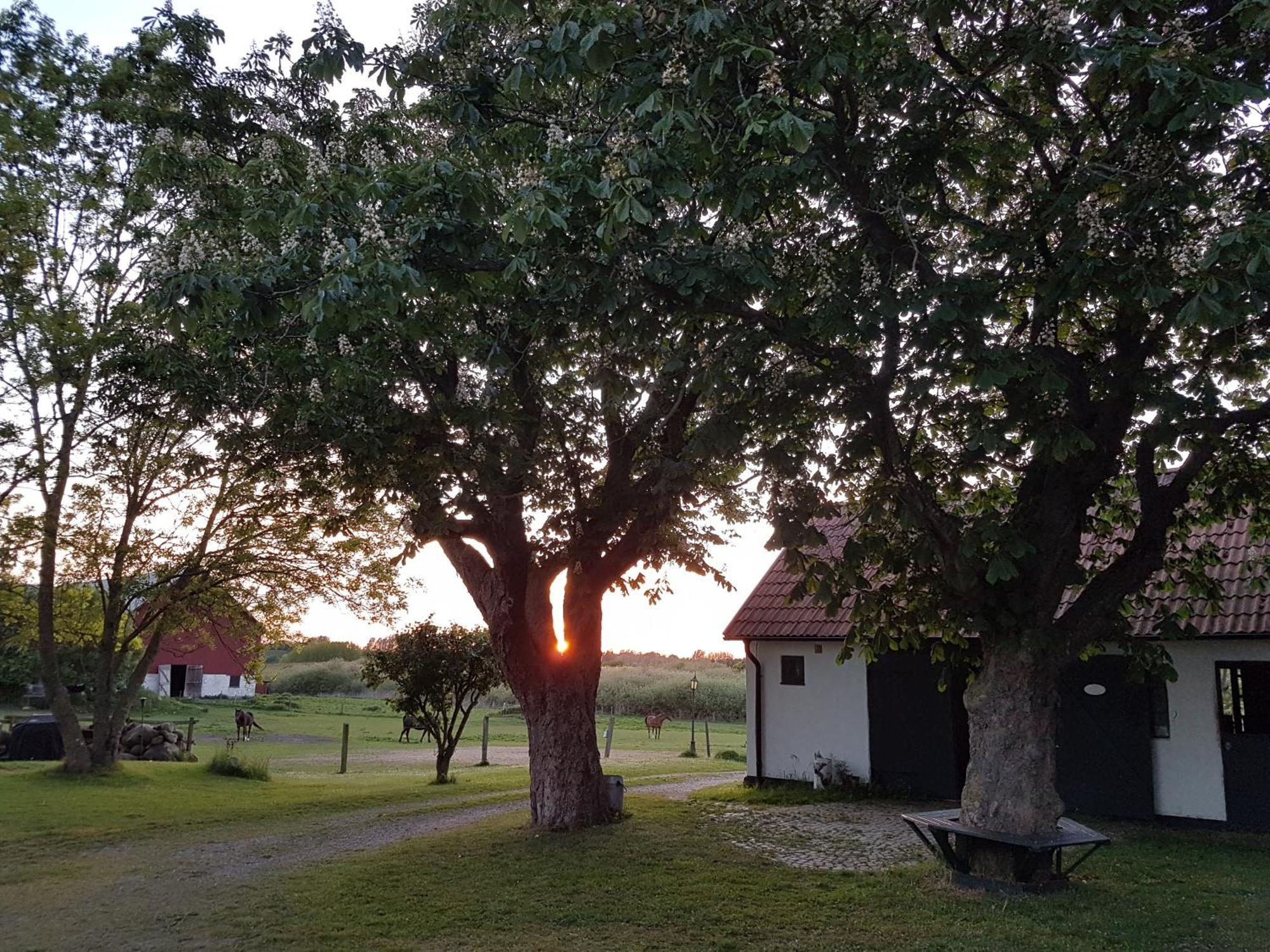 Lantligt Och Lugnt Boende Naera Natur Och Stad Svedala Bagian luar foto
