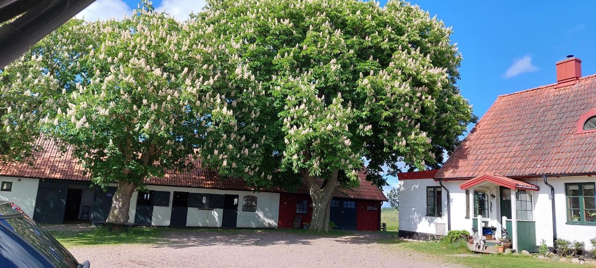 Lantligt Och Lugnt Boende Naera Natur Och Stad Svedala Bagian luar foto