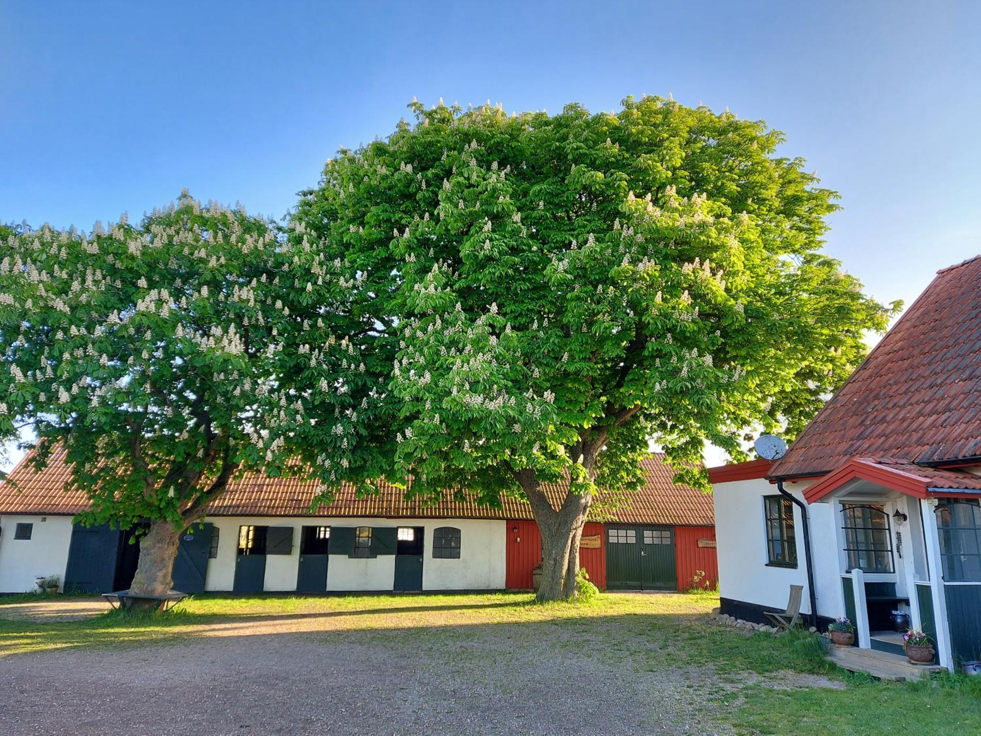 Lantligt Och Lugnt Boende Naera Natur Och Stad Svedala Bagian luar foto