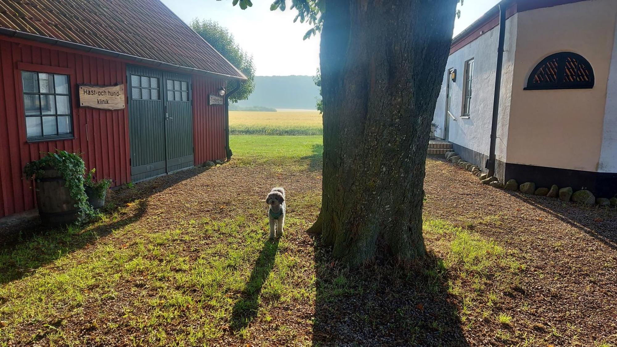 Lantligt Och Lugnt Boende Naera Natur Och Stad Svedala Bagian luar foto