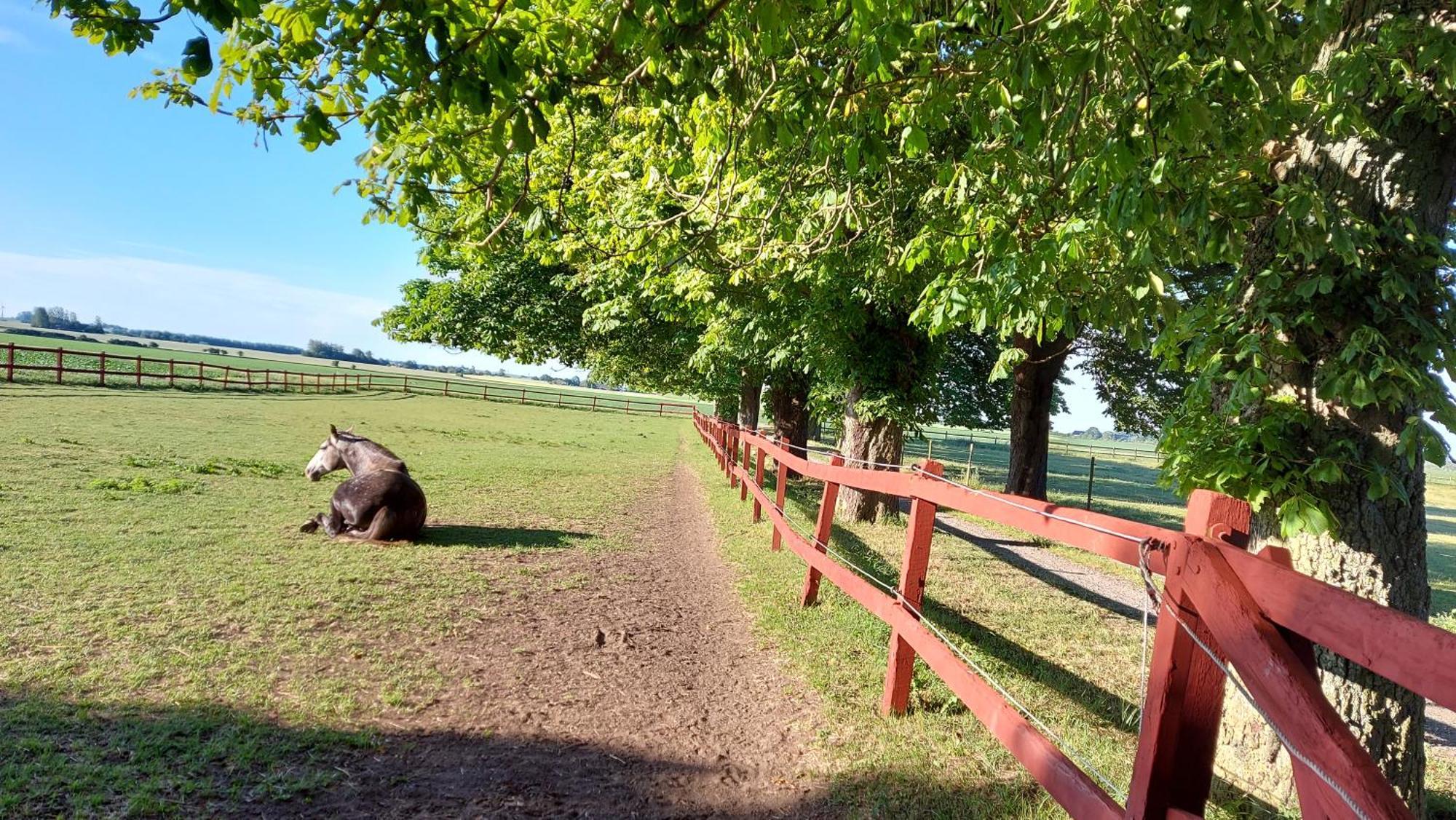 Lantligt Och Lugnt Boende Naera Natur Och Stad Svedala Bagian luar foto