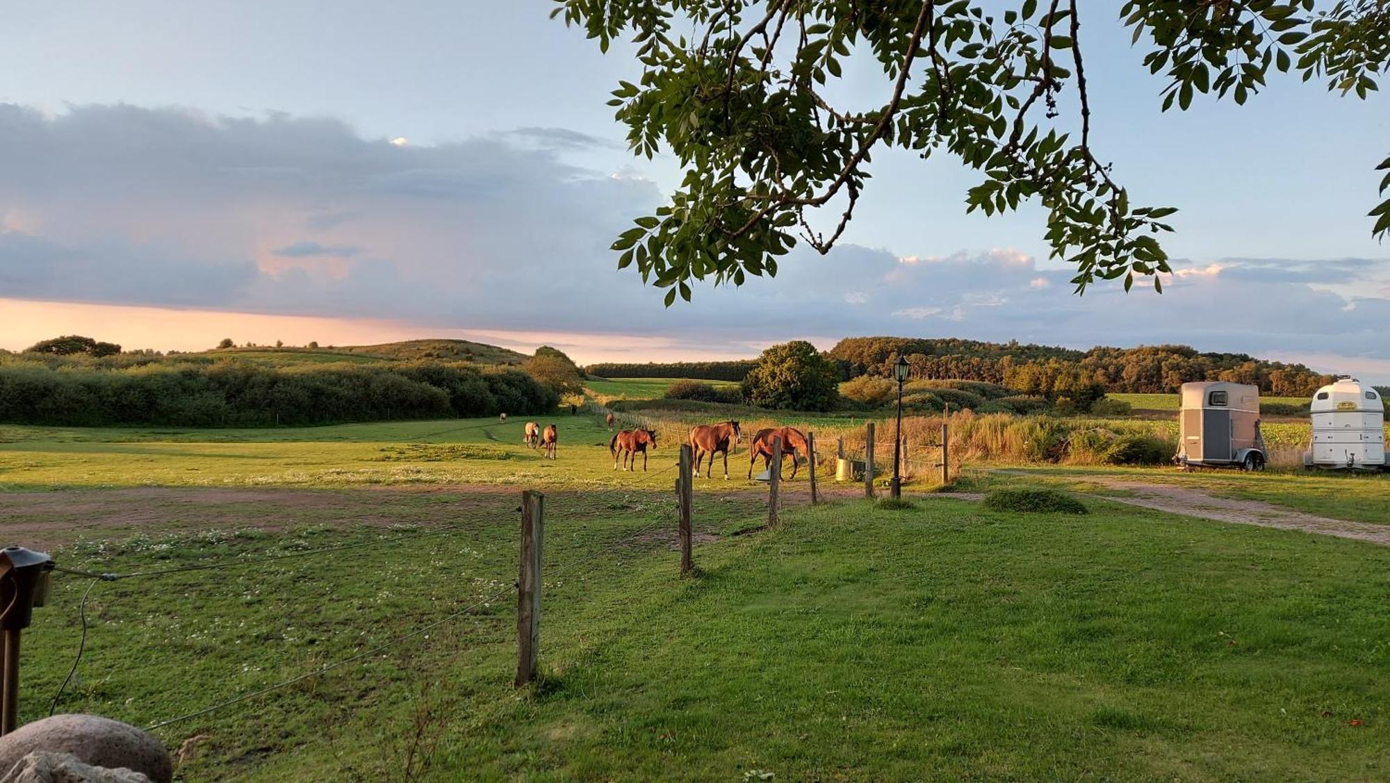 Lantligt Och Lugnt Boende Naera Natur Och Stad Svedala Bagian luar foto