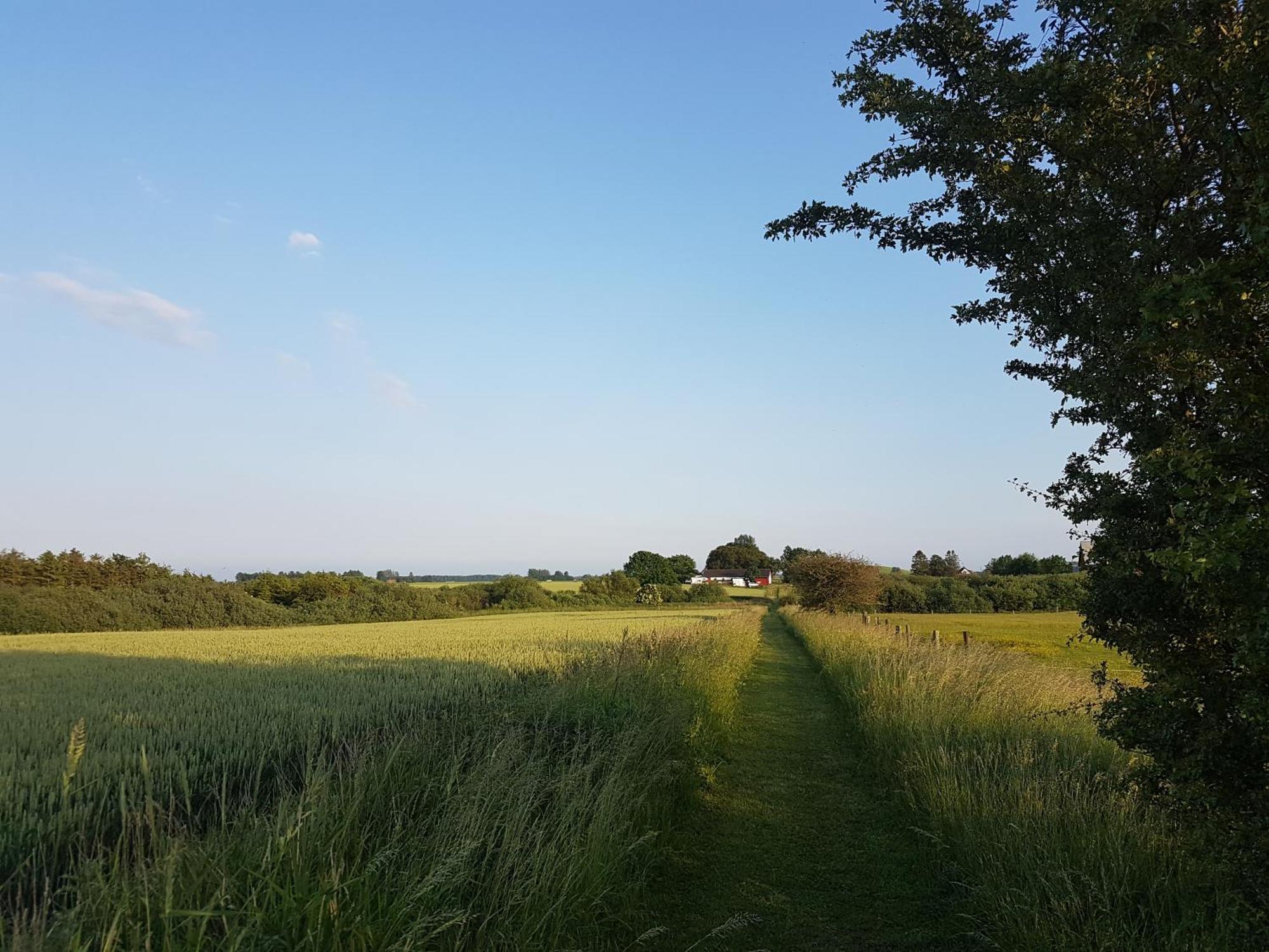 Lantligt Och Lugnt Boende Naera Natur Och Stad Svedala Bagian luar foto