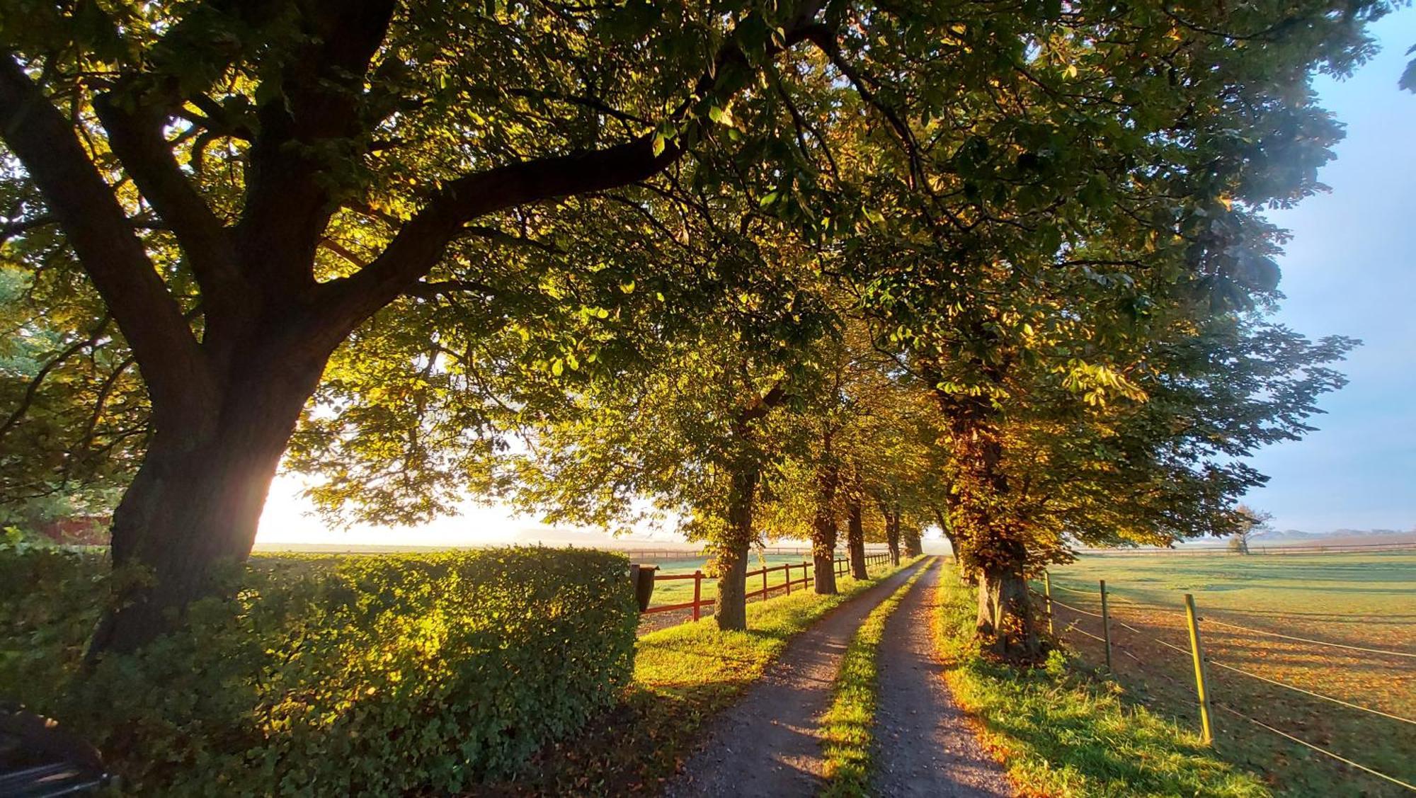 Lantligt Och Lugnt Boende Naera Natur Och Stad Svedala Bagian luar foto